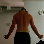 Norman der Vogel ohne Flügel (noch) - @normansgym - Instagram