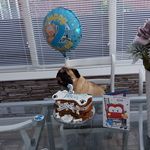 Norman Watson - @norman.watson.1804 - Instagram
