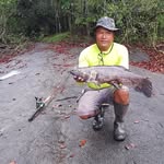 Wayne Peneux - @normanwaynepene - Instagram