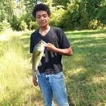 Norman Webster - @norman.webster.121 - Instagram