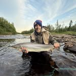 Norman Whitten - @whittennorman - Instagram