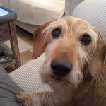 Norman Whyte - @whyte.norman29 - Instagram