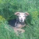 Norman Noseworthy - @normannoseworthy - Instagram