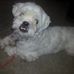 Norm Auger - Facebook