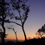 Normand Bouchard - @bouchardnormand - Instagram
