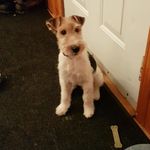 Normand Leclerc - @normand.leclerc.94 - Instagram