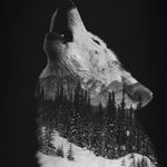 Normand Morin - @normand.morin007 - Instagram