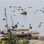 Normand Morin - Facebook