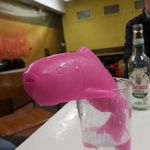 Norman The Fish - @normanlepoisson - Instagram