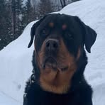 Normand Doyer Line Tanguay - Facebook