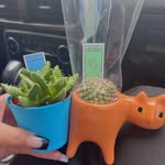 Callie Ford Norris - @norriscallieford - Instagram