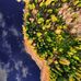 Norris Riggins - Facebook