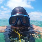 רוח צפונית - @northern_wind_diving - Instagram
