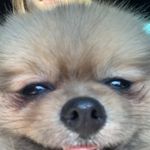 @northernwind - Instagram