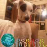 Terry Norton Morris - @appalachianqueen421 - Instagram
