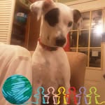 Terry Norton Morris - @terry.morris - Instagram