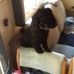 Norvell Walker - Facebook