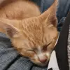 Novell_walker - @novell_walker - TikTok