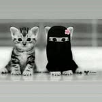 Noshaba Khan - @noshaba258 - Instagram