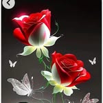 Noshaba Khan - @noshaba.khan.5682 - Instagram