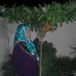 امینی زاده - @nosrataminizadeh - Instagram