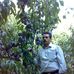 Nosrat Amini - Facebook