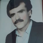 nosrat Amini - @nosrat5031 - Instagram