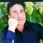 nosratamini - @nosratamini8 - Instagram