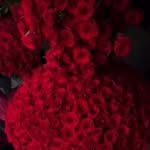 Nour Sultan - @sultan_noni - Instagram