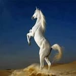Nour Sultan - @nour.sultan.37454 - Instagram