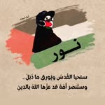 Nour yacoub - @yacoub8737 - Instagram