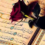 Nourhan Elsayed - Facebook