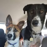 Nova Cannon - @stoli_and_nova - Instagram