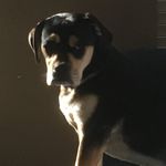 Nova Clark - @novaclark012718 - Instagram
