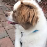 Nate Collins - @novacollins24 - Instagram