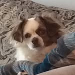 Natecollins - @nova_nova_collins - Instagram