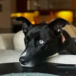 Nova Collins - @novaaagirl_x3 - Instagram