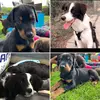 Nova cooper - @restock.by_my - TikTok