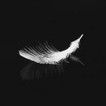 Nova Tsang - @nova_fallenangel - Instagram