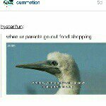 ur friend - @nova_fallen1 - Instagram