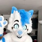 Nova Fox - Facebook