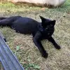 Nova Green - @nova.green1 - TikTok