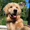 Nova Green - @nova.green08 - TikTok