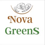 Nova Greens - @nova_greens_ - Instagram
