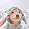 Hammerquist - @phrog137 - TikTok