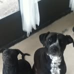 Nova Harvey - Facebook