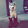 Nova Harvey - @chasing_butterflies07 - TikTok