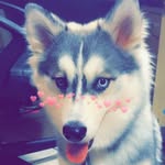 Nova_Moon_Harvey - @chasing_butterflies07 - Instagram