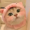 Novahill - @novahill1 - TikTok