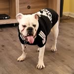 Nova Jackson - @novaj3676 - Instagram
